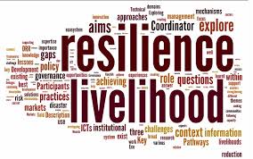 Networking facilitates resilience - word map