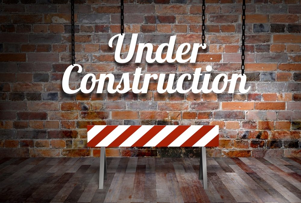 Pros and Cons:  Buy a Franchise or Build a Business From Scratch?