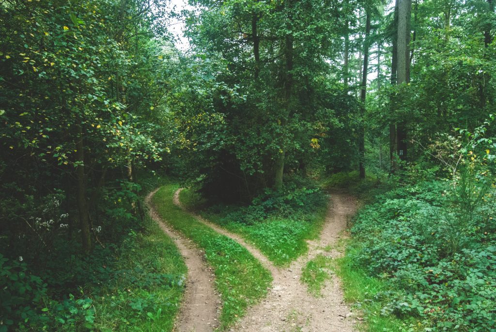 fork in the path: career or love or both?