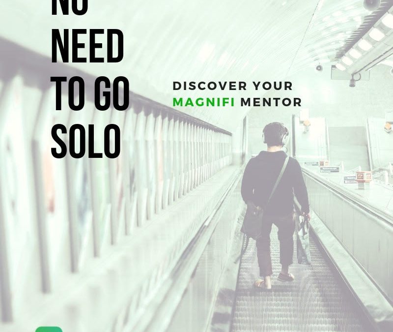 Mentorship: a Predictor of Success