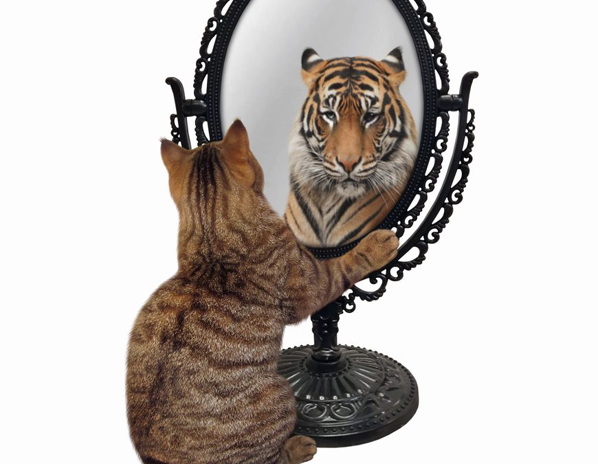 Leaders and the Self-Awareness Gap