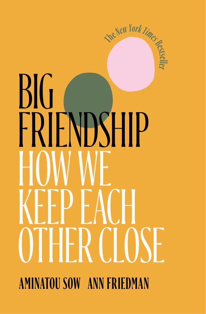 big friendship book cover