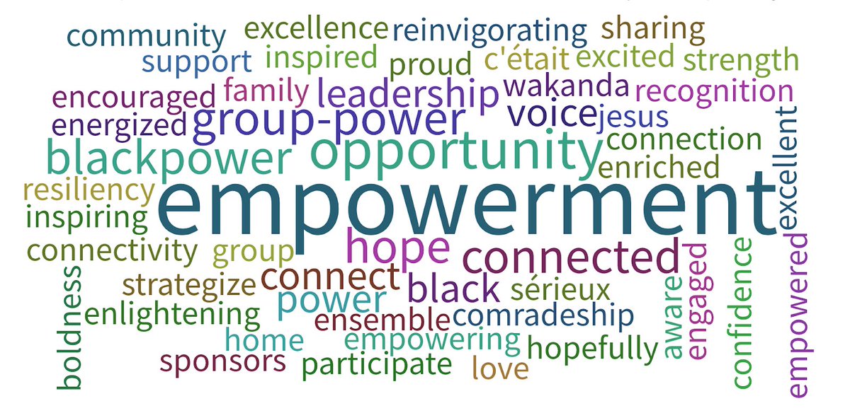FBEC WordCloud from Symposium Jan 23, 2019