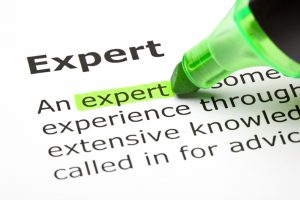 Definition of experts
