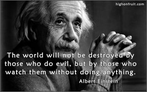 Values related quote by Albert Einstein