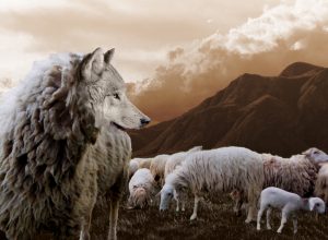 Corporate psychopaths are wolves in sheeps' clothing